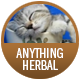 Anything Herbal / Decaffeinated badge