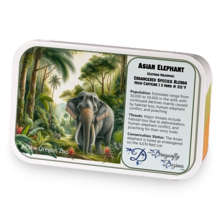Asian Elephant sample blend