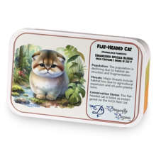 Flat-Headed Cat sample blend