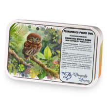 Pernambuco Pygmy Owl sample blend