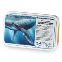 North Atlantic Right Whale sample blend