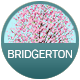 Bridgerton badge