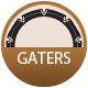 Stargate badge