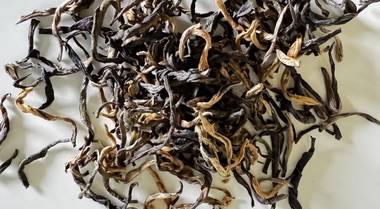tea photo