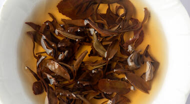 tea photo