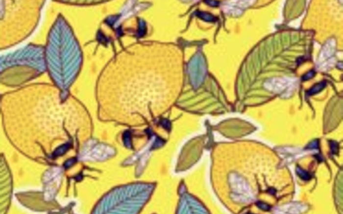 Lemon Bee
