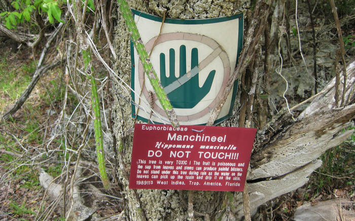 label
