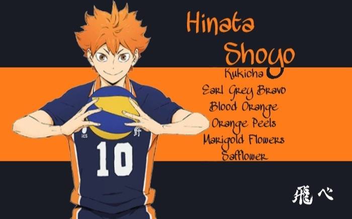 Hinata perfect receive