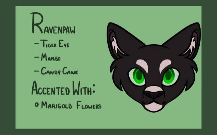 Warrior Cat Designs — Ravenpaw