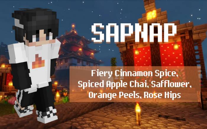 Sapnappng Sapnap Minecraft Shirt