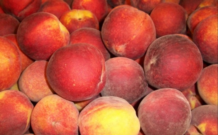 flavor-rich-peaches-southern-peaches-make-their-debut-eat-like-no