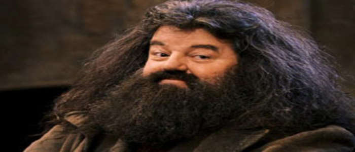 Rubeus Hagrid