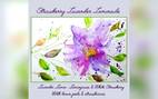 blend image