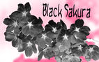 blend image