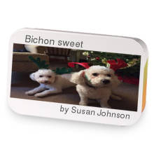 Bichon sweet sample blend