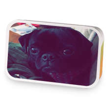 Goode Tea sample blend