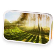 Pu-er First Spring  sample blend