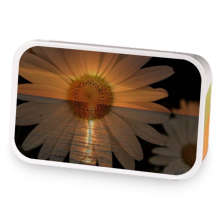 Decadant Delight sample blend