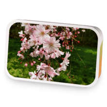 Tummy Tamer sample blend