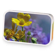 Luxembourg Lemon Lavender sample blend