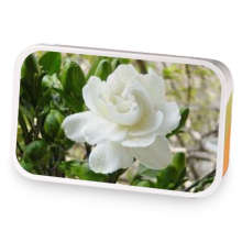 Jasmine Dream sample blend