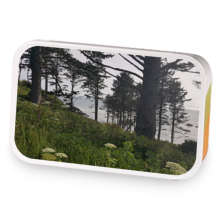 Coconut Lemongrass Green Tea sample blend