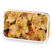 Peach Chamomile  sample blend