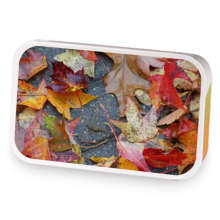 Autumn Comfort sample blend