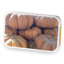 Pumpkin Roll sample blend