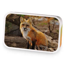 Kurama sample blend