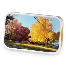 New England Harvest sample blend