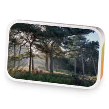 Misty Morning Lickey Hillside sample blend