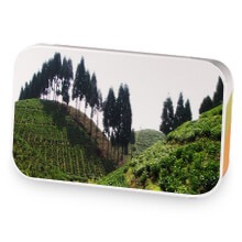 Sith Meditation sample blend