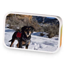 Black and Blueberry Cream sample blend