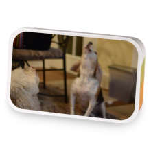 Howling Toasted Mango Mate sample blend