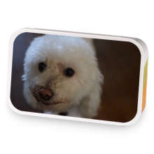 Finny's Fabulous Fruit Mate sample blend