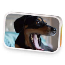 It's So Light! sample blend