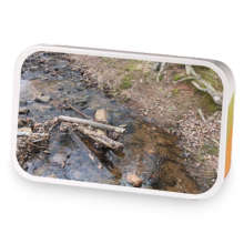 Night Light sample blend