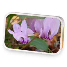 hunt demons for cash sample blend