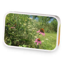 Blueberry Spice sample blend