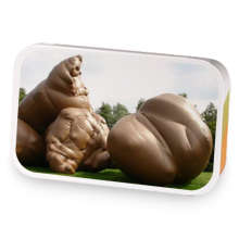 Poo sample blend
