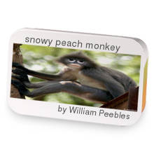 snowy peach monkey sample blend