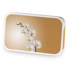 Theo Byrnmore sample blend