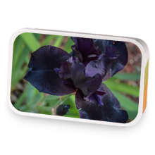 Iris Sen sample blend