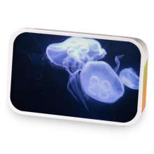 Nighty night sample blend