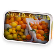 World Citrus sample blend
