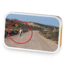 Area 51 sample blend