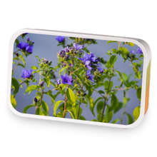 Floraly Fruity Earl Grey sample blend