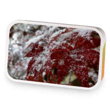 Frosted Currant sample blend