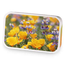 Springtime sample blend